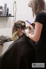 5b03b6a208-img_9220.jpg